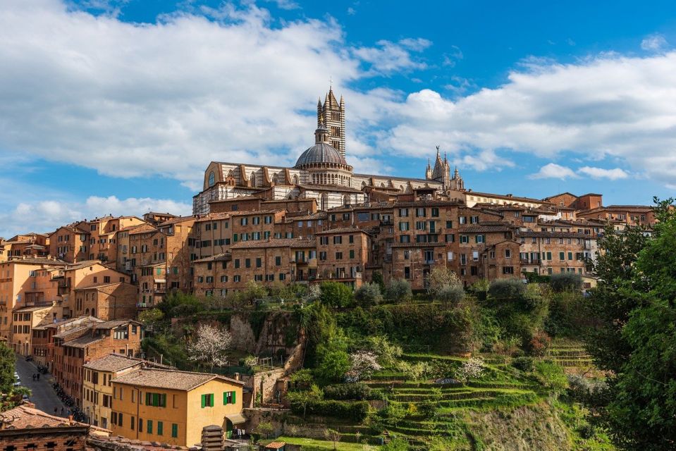 Siena, San Gimignano and Chianti Day Trip From Florence - Important Information