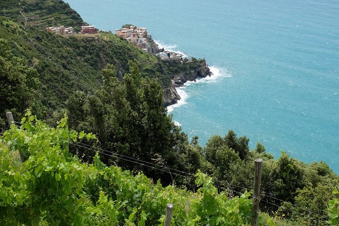 Small-Group Cinque Terre Discovery With Seafood Lunch - Frequently Asked Questions