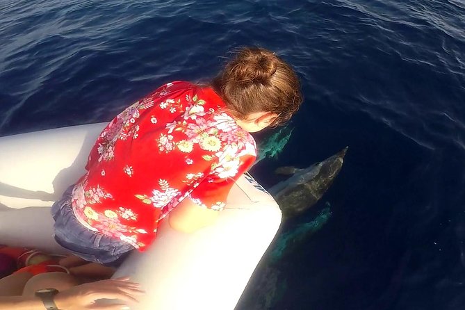 Sustainable Dolphin Watching Tour With Marine Biologist  - Sicily - Educational Experience