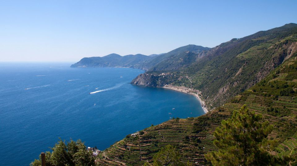 The Charm of Cinque Terre: Tour by Minivan From Florence - Detailed Itinerary Overview