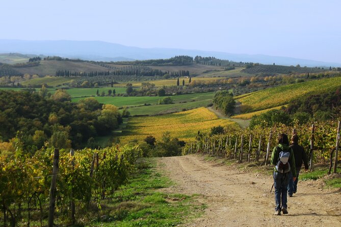 Tuscany Hiking Tour From Siena Including Wine Tasting - Scenic Walk Experience