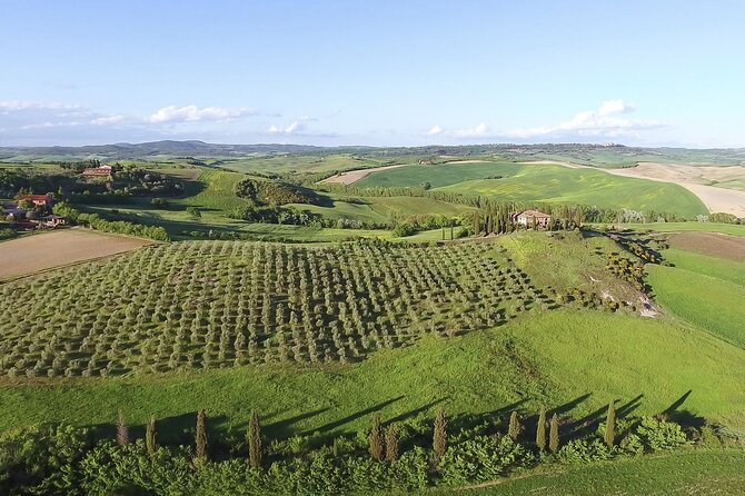 Chianti Wine Tour From Florence - Final Words