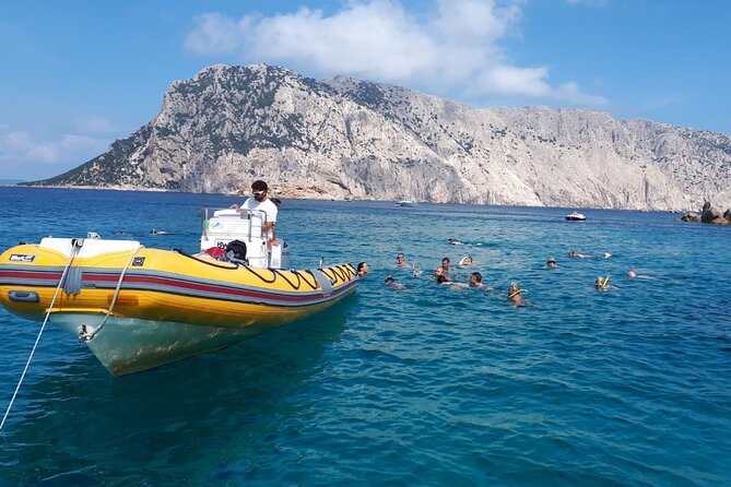 Dolphin Watching and Snorkeling in Figarolo in Sardinia - Weather Requirements