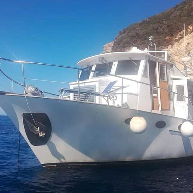 Elba Island: Boat Cruise - Important Considerations
