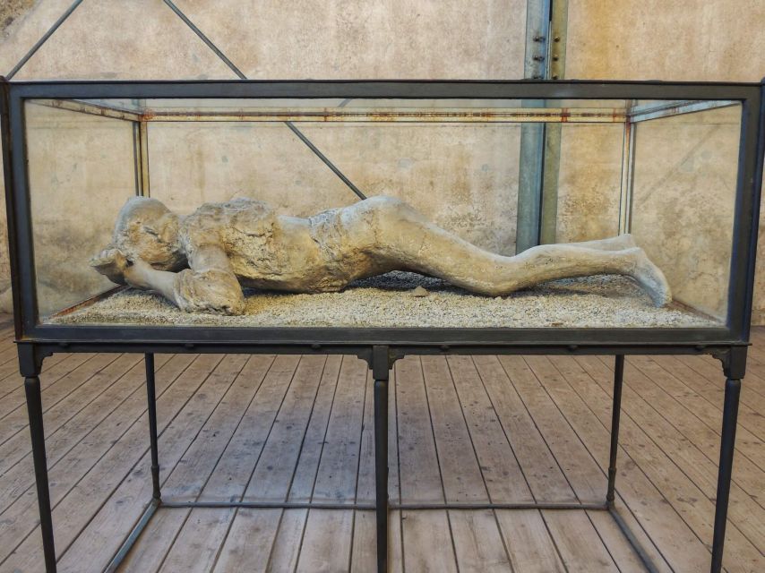 From Naples: Pompeii and Herculaneum Half-Day Private Trip - Pompeii and Herculaneum Overview