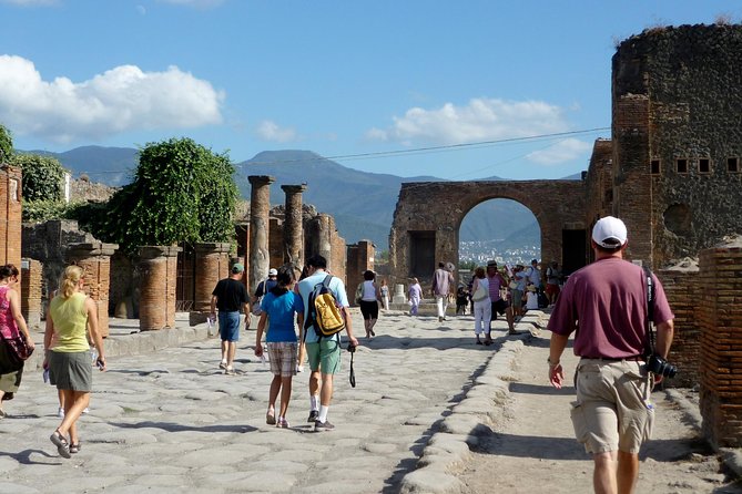From Naples: Pompeii Shared Tour With Guide and Tickets Included - Challenges and Suggestions