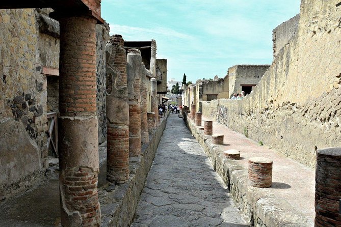 Pompeii and Herculaneum Private Walking Tour With an Archaeologist - Tour Provider Details