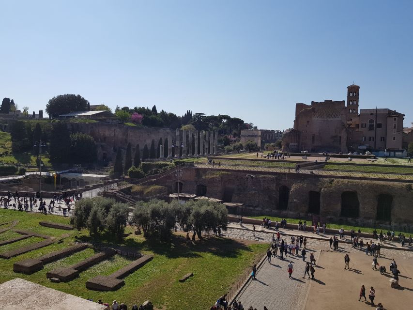 Rome: Fast-Track Private Colosseum Arena & Palatine Hill - Background