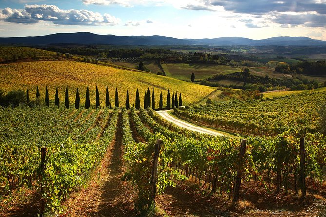 Small-Group Chianti Trip With Wine Tasting From Siena - Frequently Asked Questions