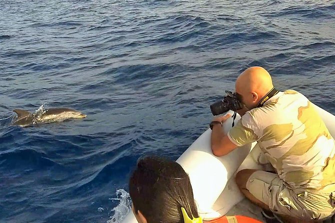 Sustainable Dolphin Watching Tour With Marine Biologist  - Sicily - Sustainable Tourism Practices