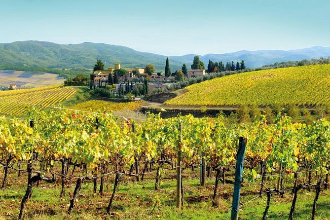 Wine Tasting & Tuscany Countryside, San Gimignano & Volterra - Tour Guide Experience