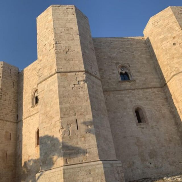 Alberobello and Castel Del Monte Private Day Tour From Rome - Language Options