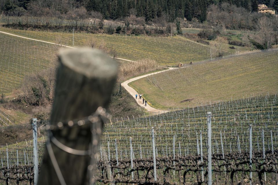 Chianti Classico: E-Bike Tour With Lunch and Tastings - Booking and Contact Information