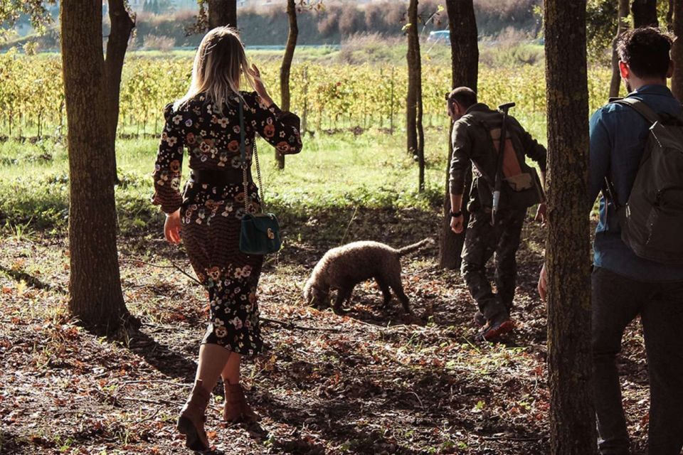 From Florence: Truffle Hunting With Lunch & Transportation - Final Words