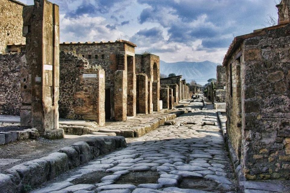 Herculaneum, Pompeii and Paestum Private Day Tour From Rome - Additional Information