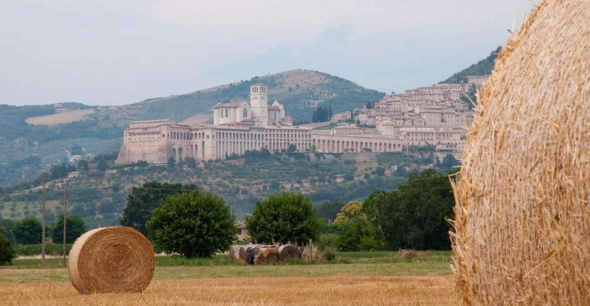 Montepulciano Wine Tasting and Assisi Private Day Tour - Frequently Asked Questions