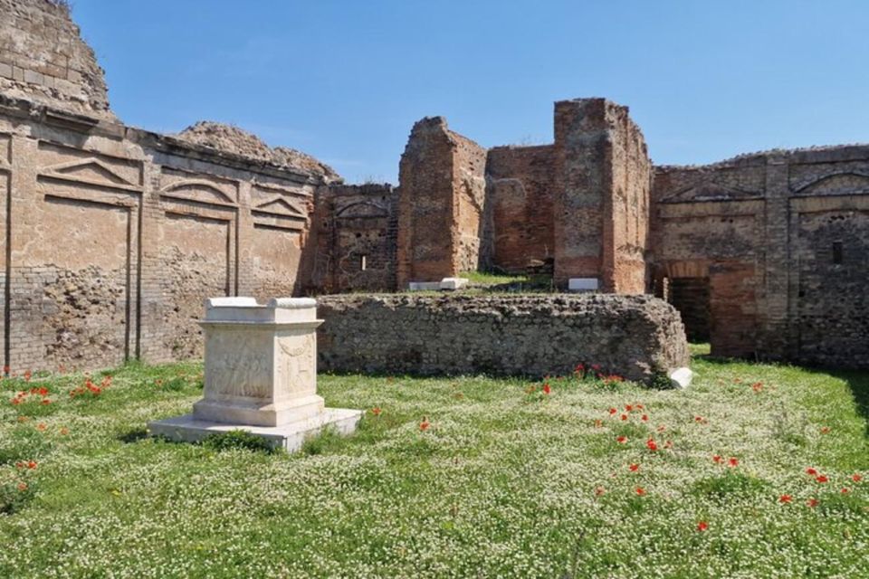 Pompeii, Herculaneum and Sorrento Private Day Tour From Rome - Important Considerations