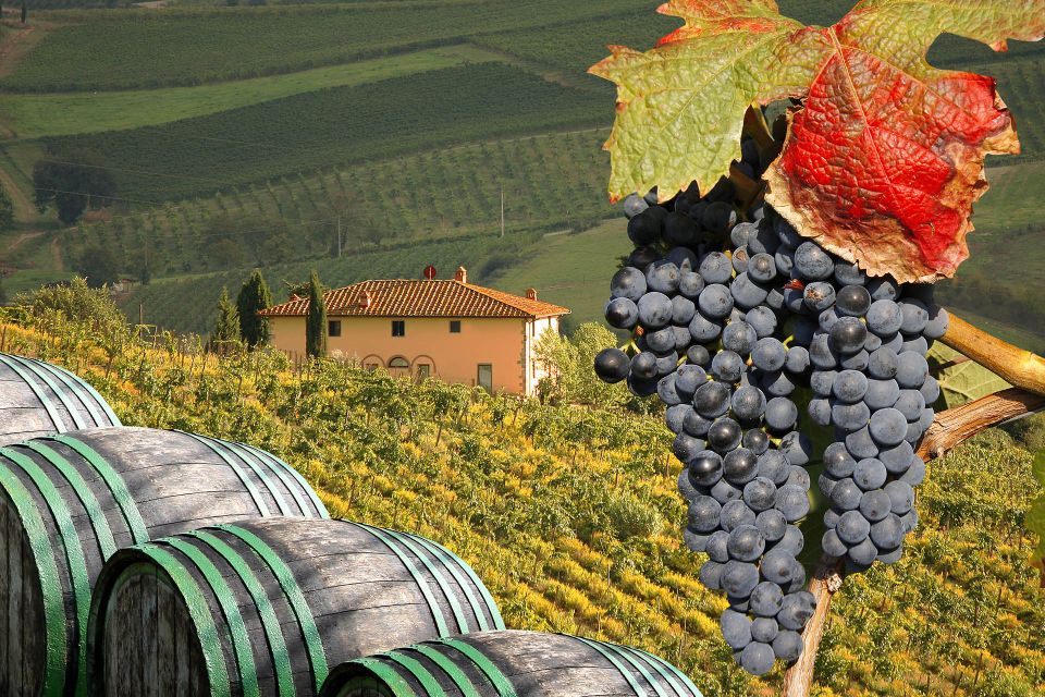 Private Chianti Tour and Wine Tasting - Final Words