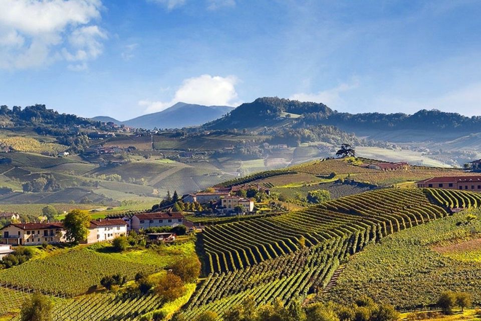 Private Tour: Barolo Wine Tasting in Langhe Area From Torino - Frequently Asked Questions