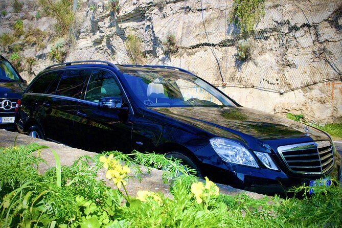 Private Transfer From Naples to Positano or Vice Versa - Contacting Viator for Inquiries