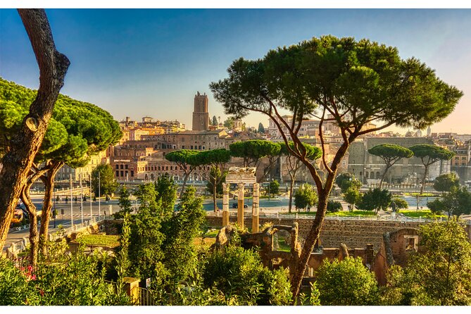 Rome Full Day Sightseeing With Private Driver - Frequently Asked Questions