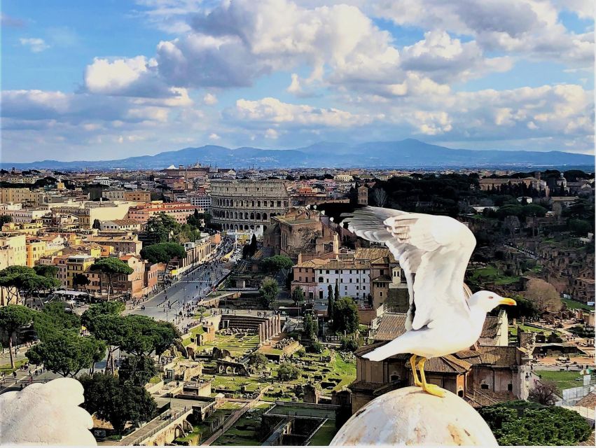 Rome: Vatican, Colosseum & Main Squares Tour W/ Lunch & Car - Final Words