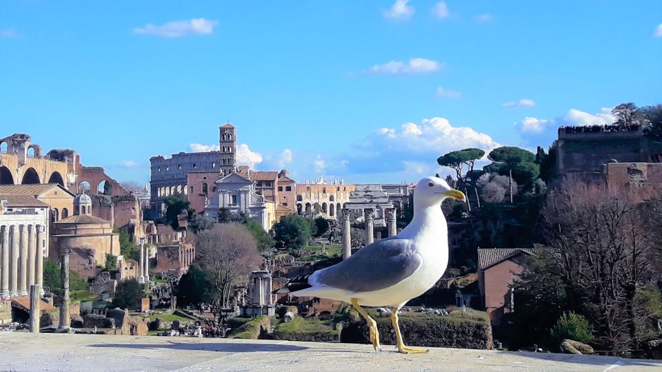 Rome: Vatican, & Colosseum Tours W/Lunch Tkts and Transfers - Final Words