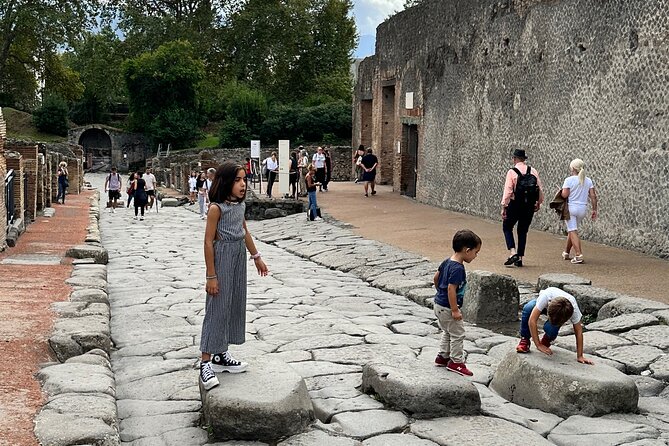 Pompeii Private Tour From Naples Cruise, Port or Hotel Pick up - Final Words