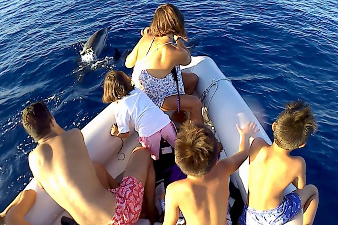 Sustainable Dolphin Watching Tour With Marine Biologist  - Sicily - Sicilian Coastal Beauty