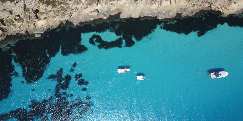 From Trapani: Favignana & Levanzo Islands Day Cruise - Final Words