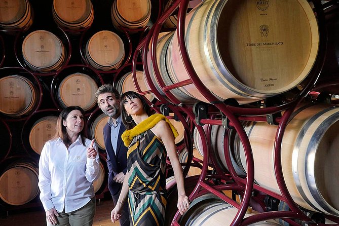 Bolgheri: Premium Wine Tasting With Winery Tour - Just The Basics