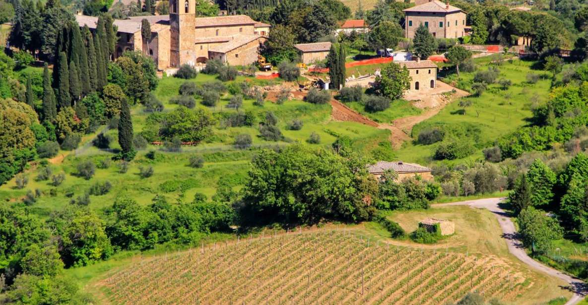 Exclusive Brunello Wine Tour a Private Luxury Experience - Just The Basics