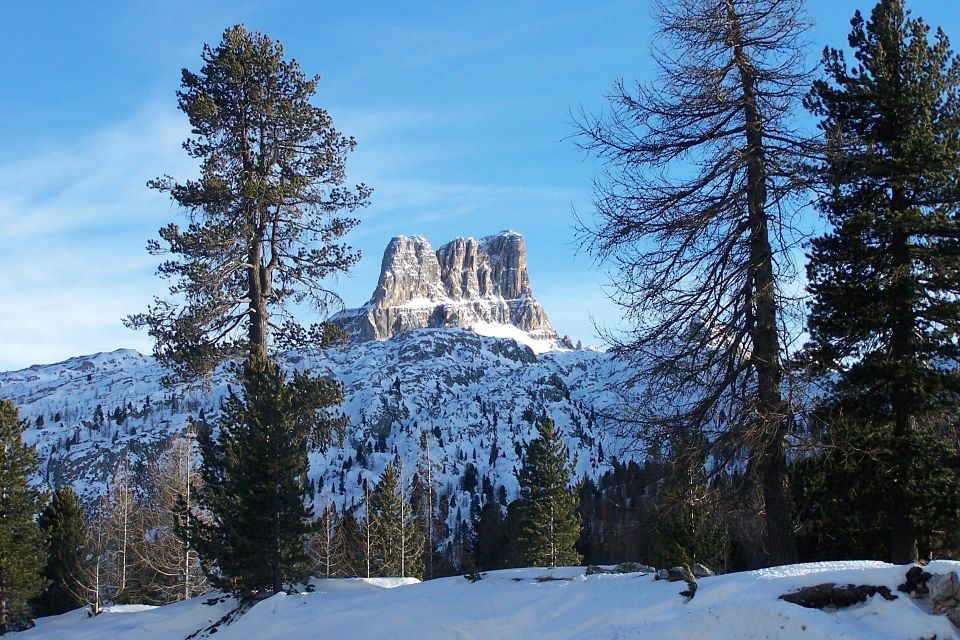 From Venice: Cortina and the Dolomites in One Day - Just The Basics