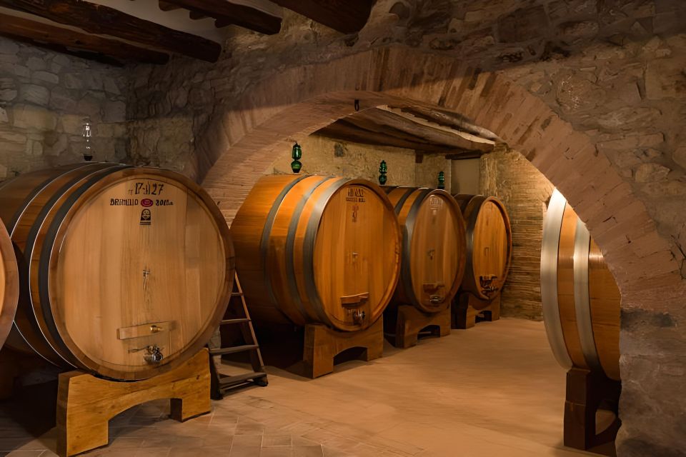 Private Full-Day Brunello Wine Tour of Montalcino - Just The Basics