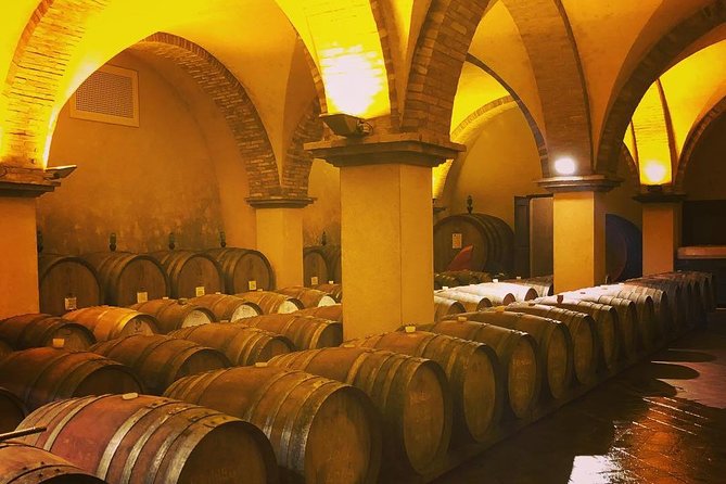 Private Tuscany Wine Tour Experience From Florence - Just The Basics