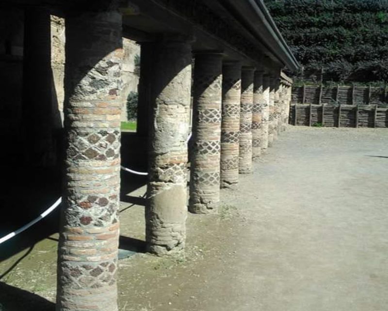 Rome: Private Guided Pompeii Ruins Tour With Hotel Transfer - Just The Basics