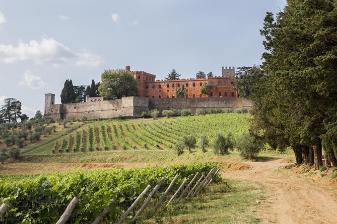 Small-Group Chianti Trip With Wine Tasting From Siena - Just The Basics