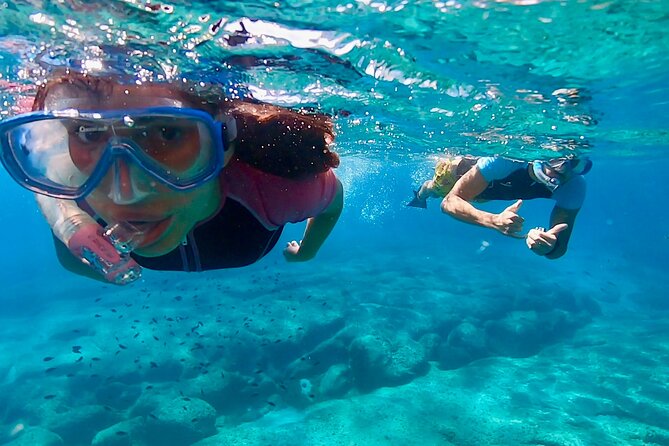 Snorkeling Experience to Discover the Dolphin Inside You! - Just The Basics