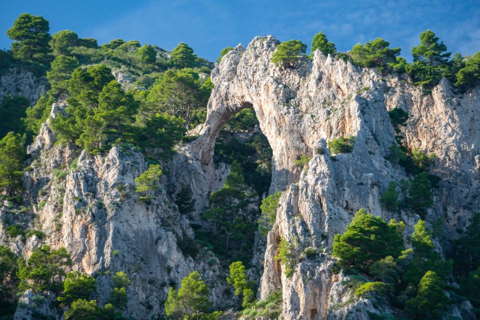 Sorrento: Capri White Grotto & Blue Grotto Private Boat Trip - Just The Basics