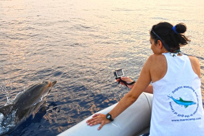 Sustainable Dolphin Watching Tour With Marine Biologist  - Sicily - Just The Basics