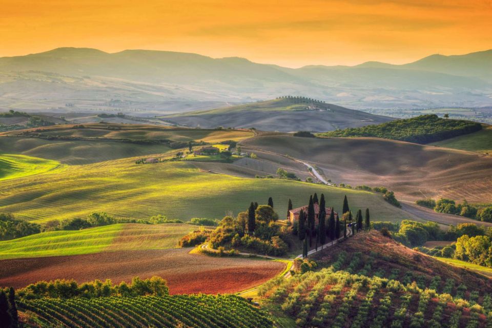 Tuscany Highlights and Wine Private Car Tour From Florence - Just The Basics