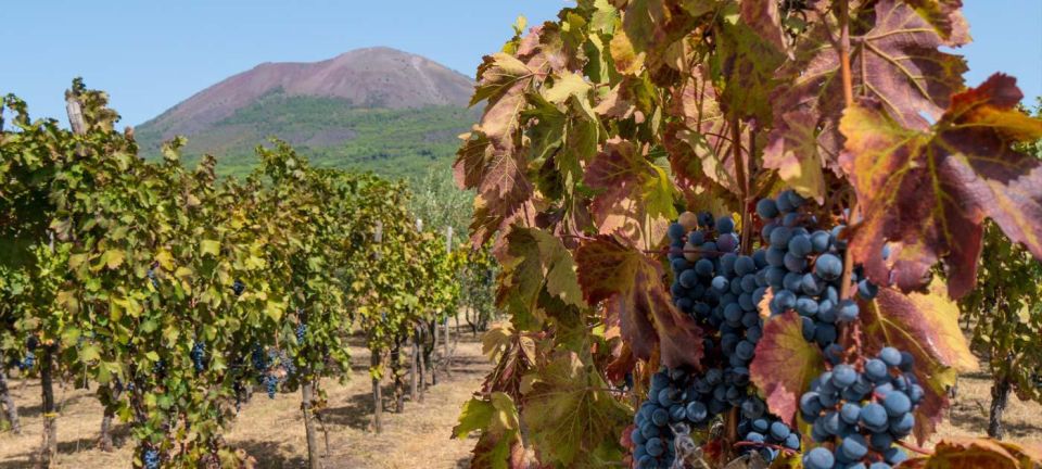 Vesuvius Valley and Pompeii With Wine Taste and Lunch by Van - Just The Basics