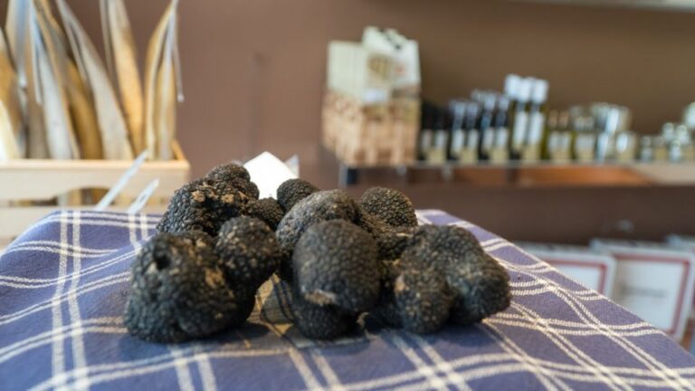 Florence: Truffle Hunting and Vinci With Lunch and Winery