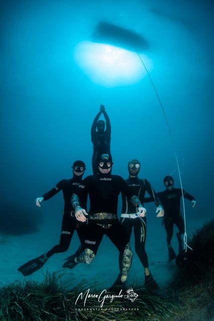 Freediving in the Wild of the Amalfi Coast/Capri/Sorrento: - Activity Details