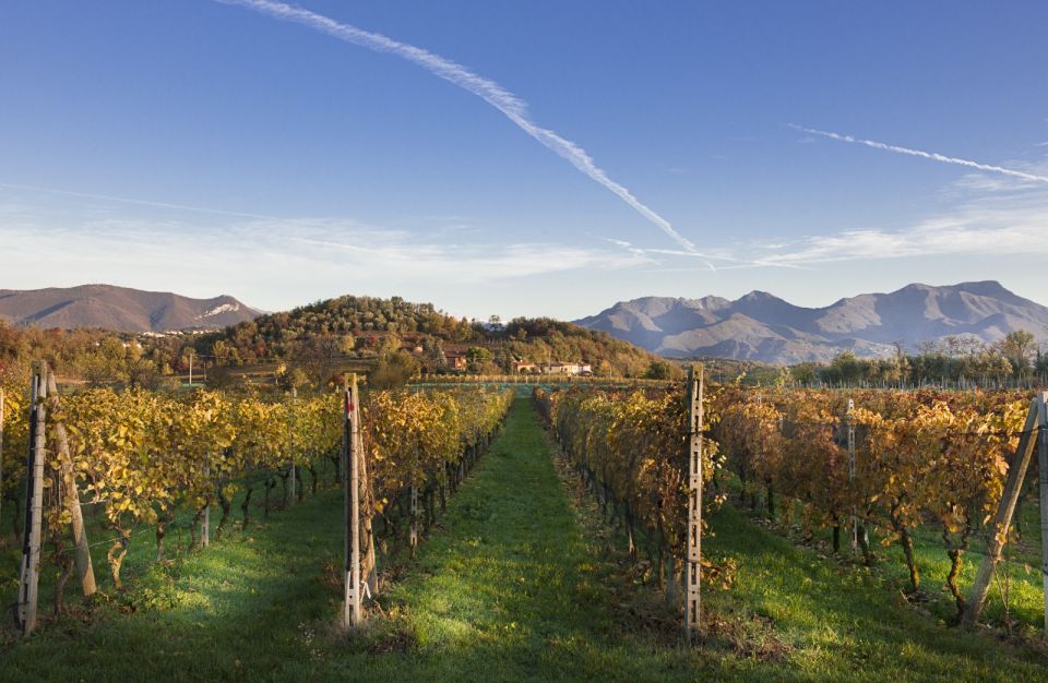 From Bologna: Franciacorta Lunch and Wine Tasting - Tour Details