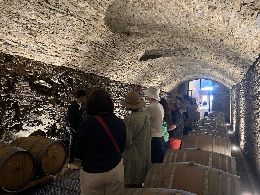 From Florence: Chianti Visit to 3 Cellars W/Lunch&Transfer - Tour Details