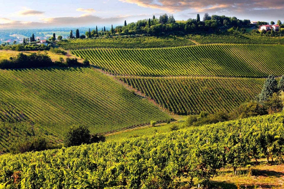 From Livorno: Siena, San Gimignano & Chianti Wine Excursions - Highlights