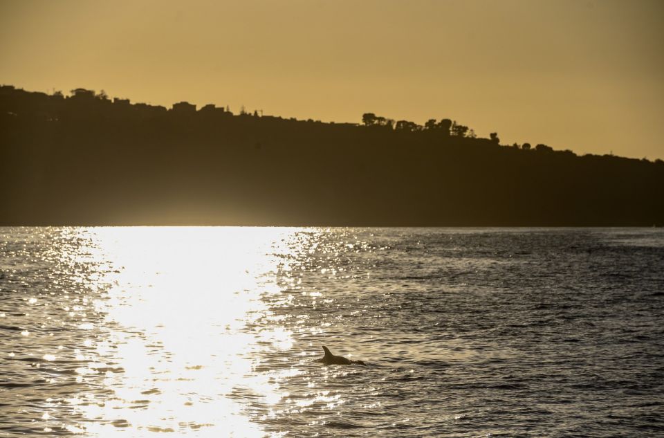 From Sorrento: Sorrento Coast Sunset Cruise - Sunset Cruise Details