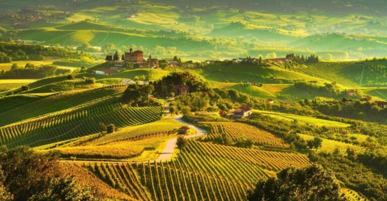 Full-Day Langhe Region Tour With Wine Tasting Experience