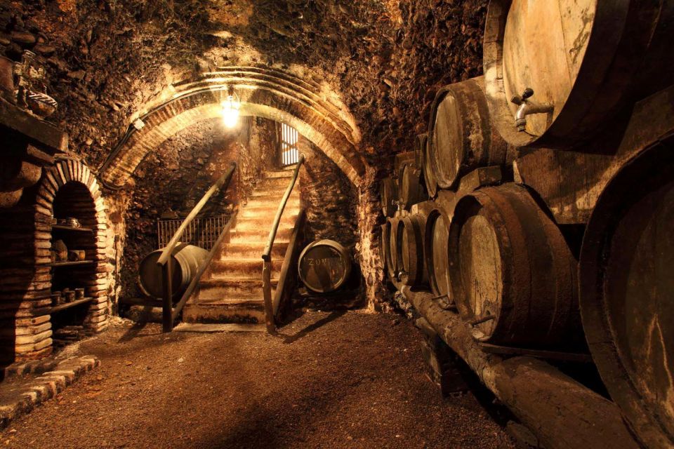 Montalcino Truffle and Wine Tasting Day Tour From Rome - Tour Details